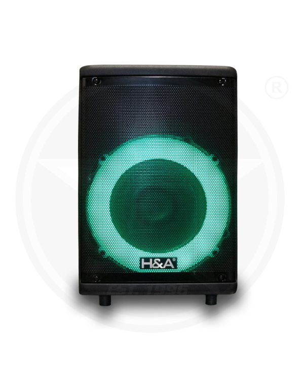 H&A TQ-LT0822 8 In PRO Rechargeable BT Speaker Fashion