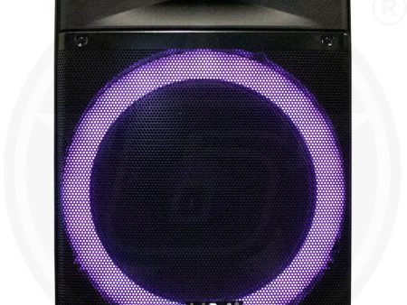 H&A TQ-LT1525 15 In PRO Rechargeable BT Speaker Online Hot Sale