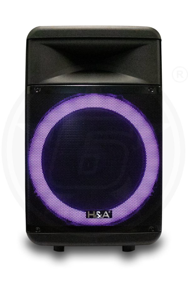 H&A TQ-LT1525 15 In PRO Rechargeable BT Speaker Online Hot Sale