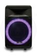 H&A TQ-LT1525 15 In PRO Rechargeable BT Speaker Online Hot Sale