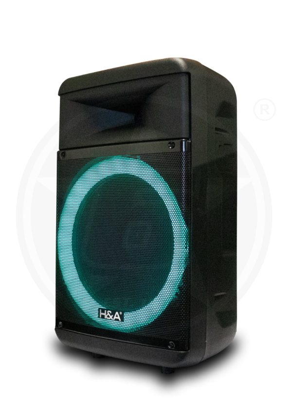 H&A TQ-LT1525 15 In PRO Rechargeable BT Speaker Online Hot Sale