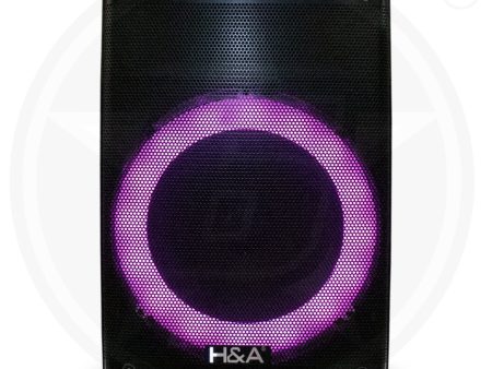 H&A TQ-LT1218 12 In PRO Rechargeable BT Speaker Fashion