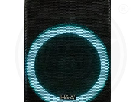 H&A TQ-LT1523 15 In PRO Rechargeable BT Speaker Supply