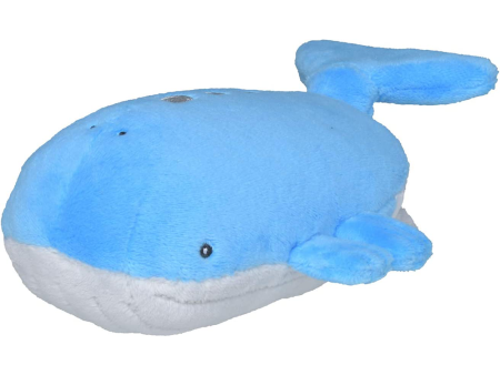 Wailord 6  Plush Pokemon Fit (Sitting Cuties) - Japanese Center Online Hot Sale