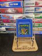 Genuine Pokemon Blue Gameboy Custom Online Sale