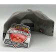 Gray Snapback Hat (Sprigatito, Fuecoco & Quaxly) NAIC 2023 Exclusive Cheap